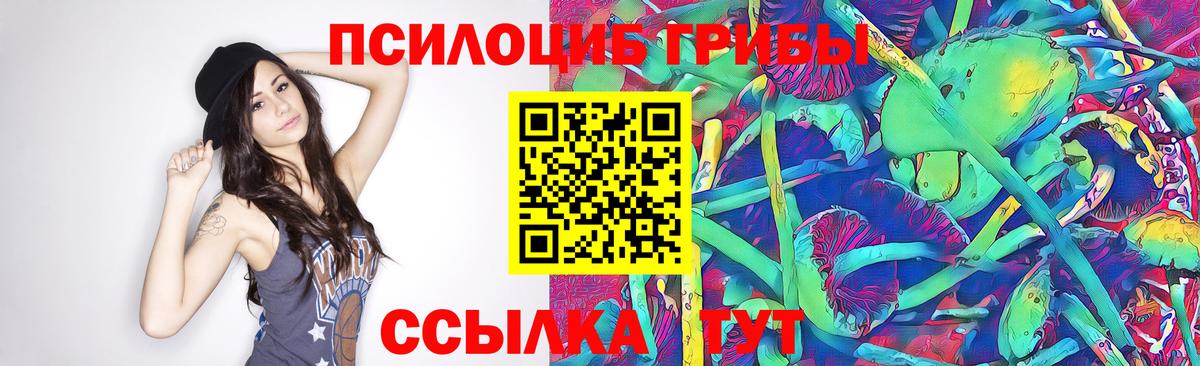 Псилоцибиновые грибы MAGIC MUSHROOMS  Вход с VPN  Алексин 